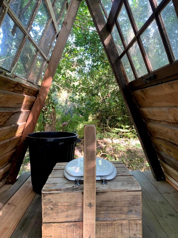 Magic Roof Top Bus With Big Bath In The Tree Forest! Mimizan-Plage Exteriör bild