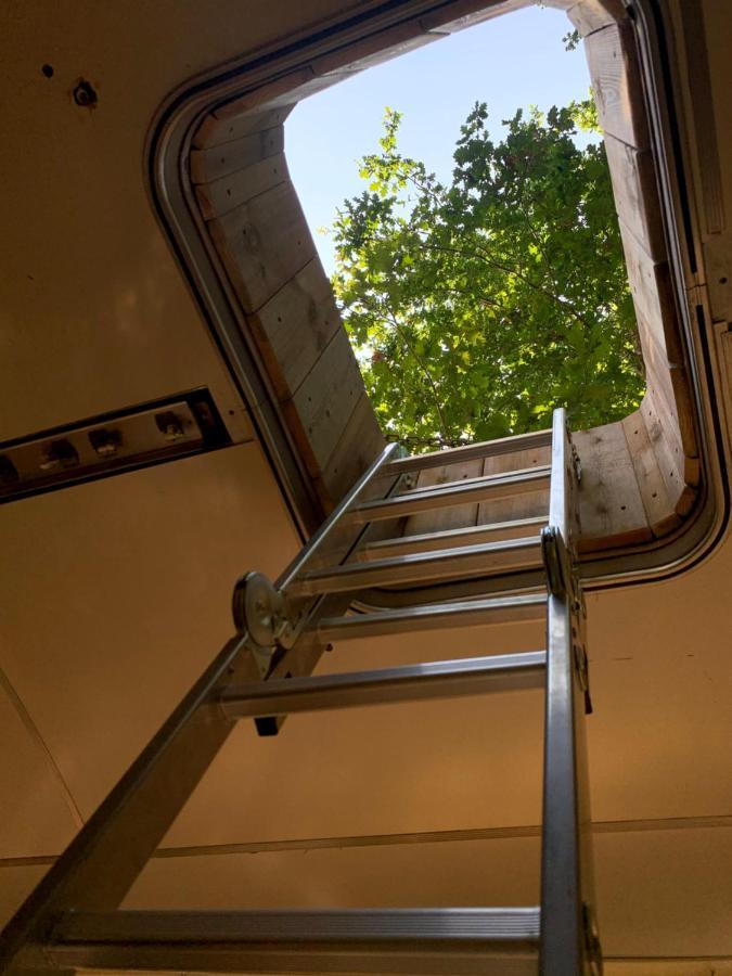 Magic Roof Top Bus With Big Bath In The Tree Forest! Mimizan-Plage Exteriör bild