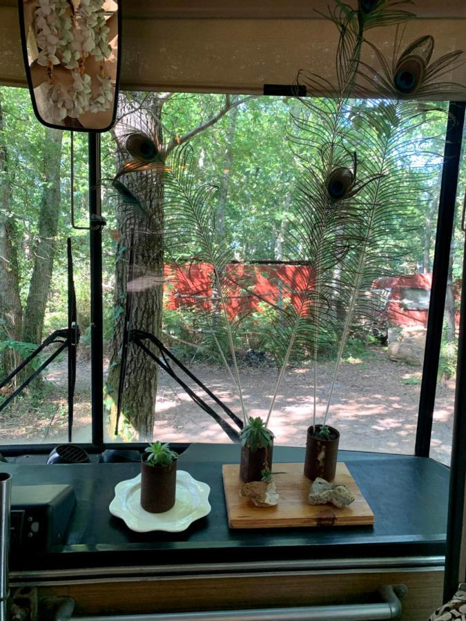 Magic Roof Top Bus With Big Bath In The Tree Forest! Mimizan-Plage Exteriör bild